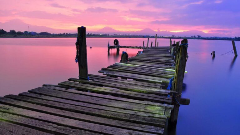 What My Grandmother Taught Me the Summer She Almost Left