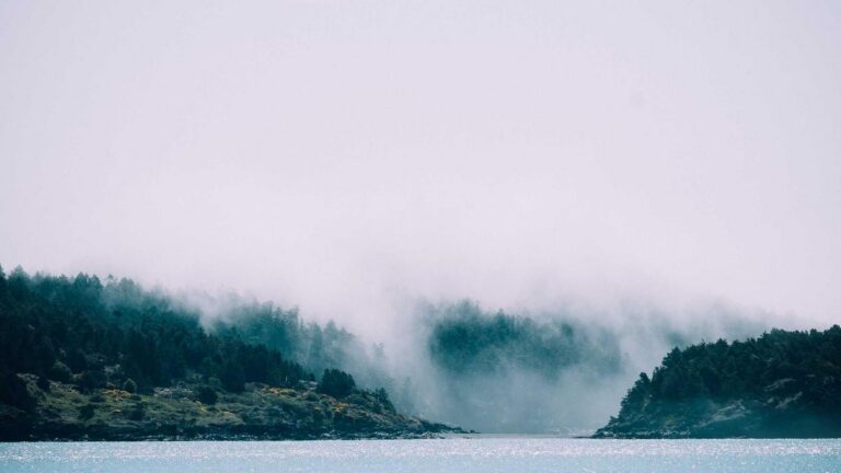 The Neighbor Who Insisted We’d Met Before — In a Town I’d Never Visited